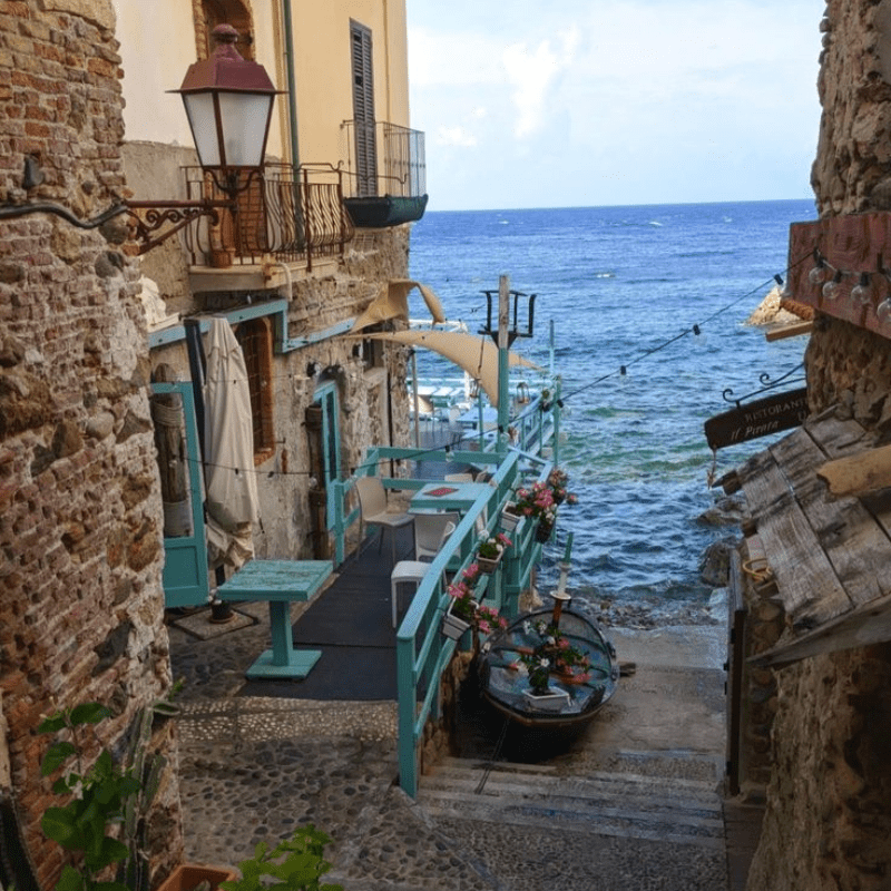 scilla 7